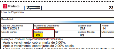 Tela modelo de boleto emitido pelo Bradesco com destaque para o campo Carteira padrão.