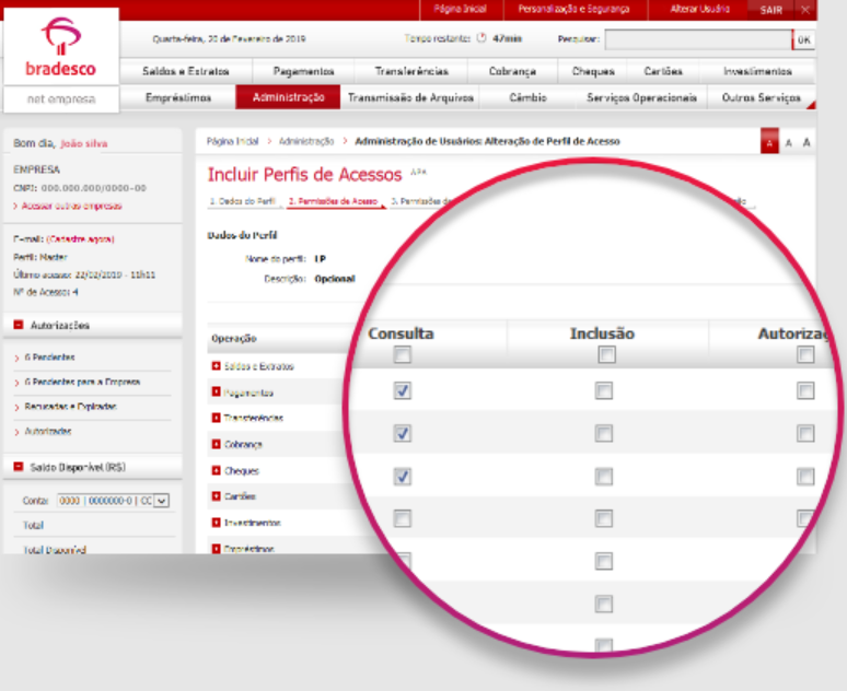 Tela do menu Incluir Perfis de Acesso no internet banking do Bradesco com destaque para a coluna Consulta.