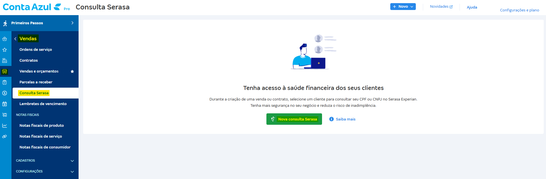 Tela para realizar uma consulta Serasa pelo menu Consulta Serasa..png