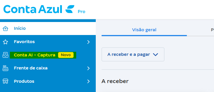 Tela da visão geral com destaque para Conta AI Captura.png