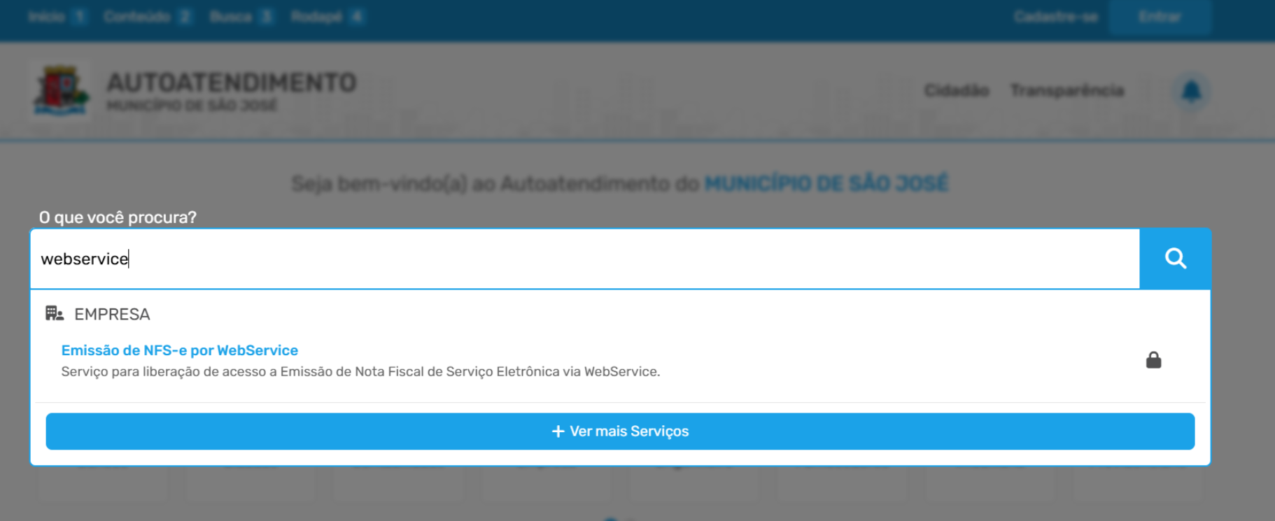 Tela para liberar acesso do usuário no padrão IPM.