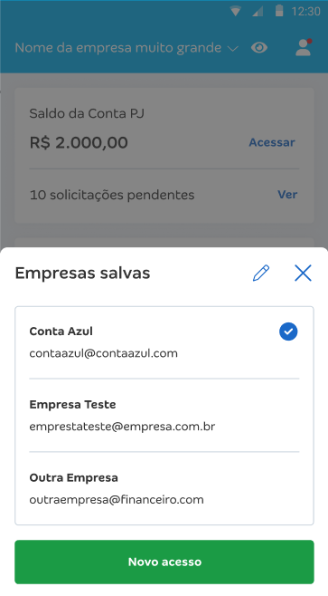 Tela do Conta Azul de Bolso com destaque para as Empresas salvas.