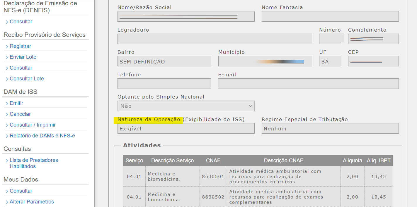 Tela para consulta da Natureza de operação padrão no padrão Saatri.