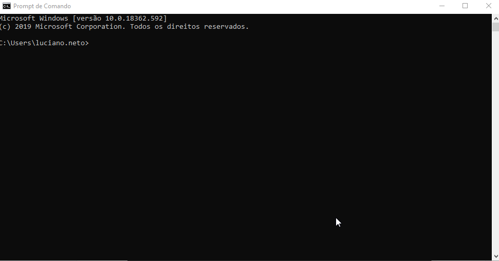 limpezadns1.gif